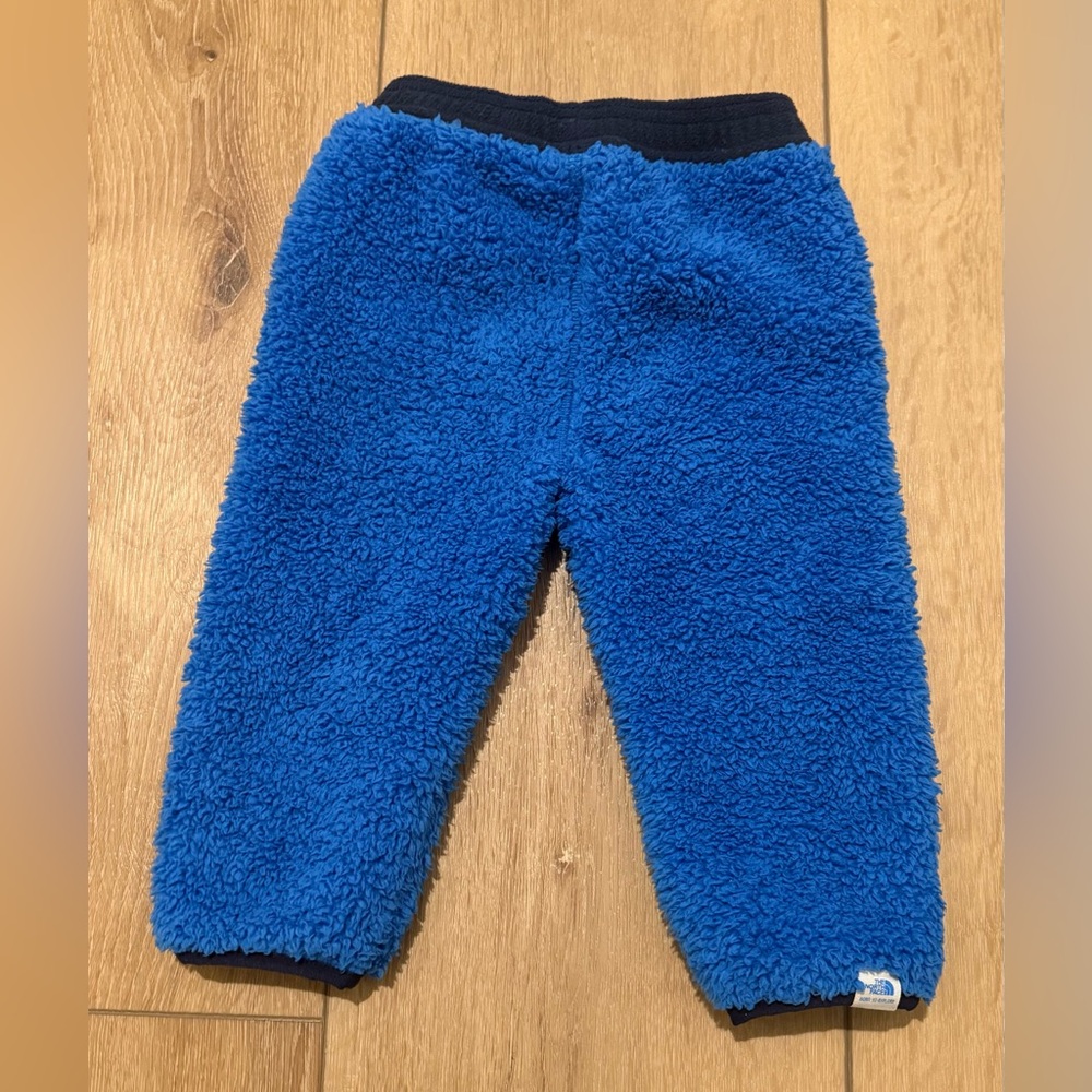 The North Face Cozy Blue Fleece Pants